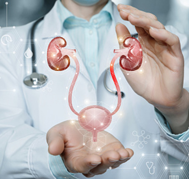 Urological Cancer Care