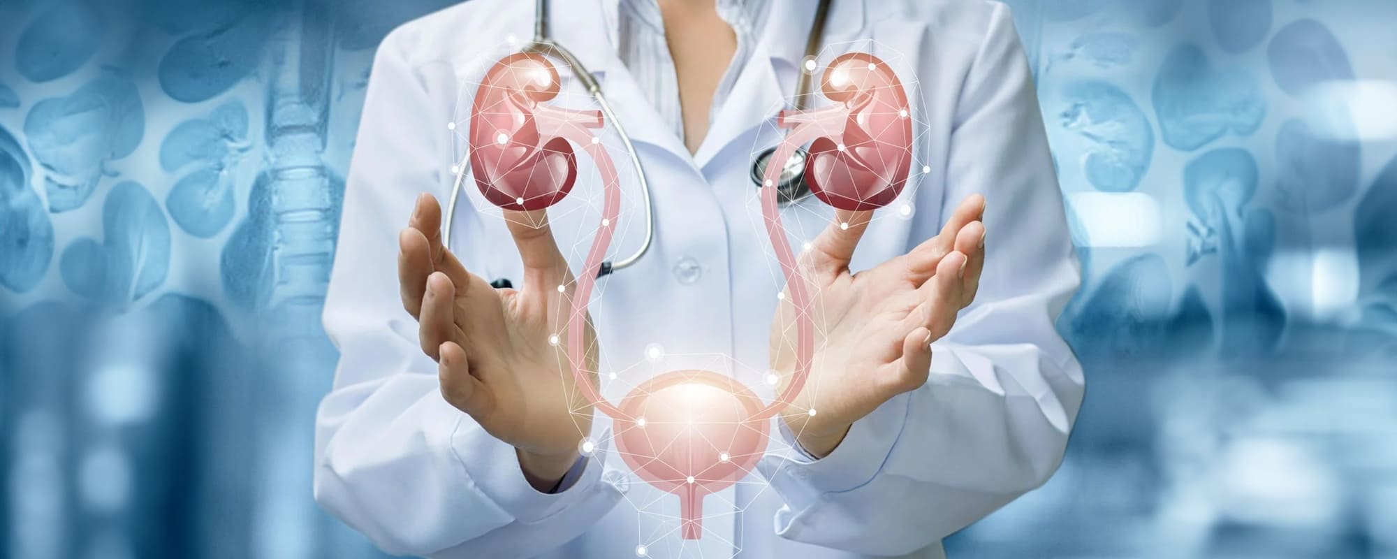 Detailed diagram of the urinary tract system